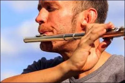 Quel instrument est représenté sur cette illustration ?