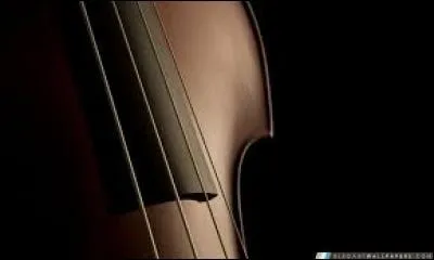 Je suis un instrument à 4 cordes, et je suis le plus grave de ma famille. On me joue debout, je suis :