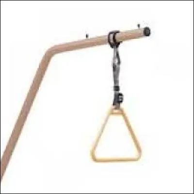 J'aurais pu vous parler de l'épine calcanéenne ou de l'ostéophyte de la colonne pour trouver le bec de l'animal... Allez, on s'accroche !