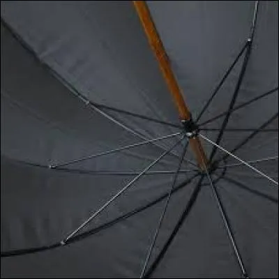 C'est assez efficace quand il pleut !