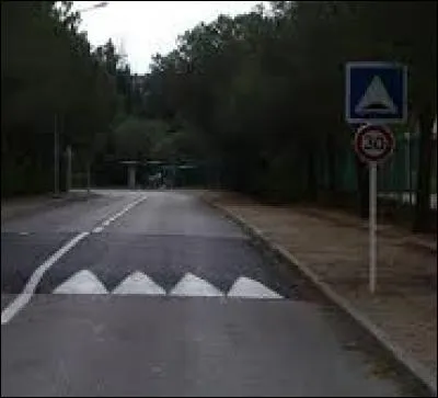 Ne faites pas votre tête de mule et regardez devant vous !