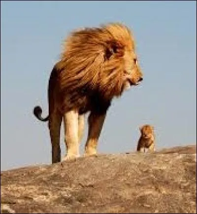 Comment s'appelle le personnage de gauche ?