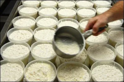 Quelle est l'étape essentielle à la fabrication du fromage ?