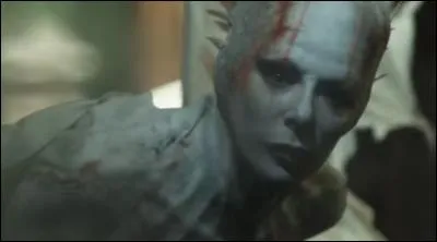 Regardez-la bien, et peut-être que vous la reconnaitrez !