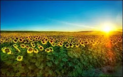 Un petit geste pour les générations suivantes, regardez bien la photo !