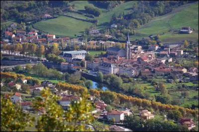 Ce village du Sud-Aveyron, au confluent du Dourdou et de la Sorgues, s'est constitué autour d'une abbaye, devenue un temps le siège d'un évêché. Quel est ce village ?