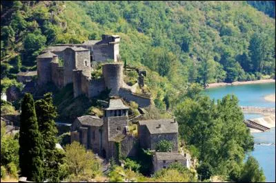 Le village et son château sont situés sur un éperon rocheux dominant le Tarn. Où sommes-nous ?