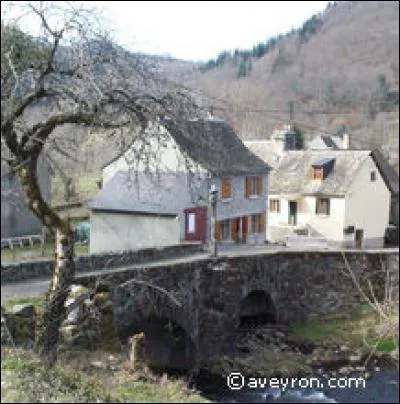 Quel est ce village de montagne, dans le nord du département, né du passage des pèlerins de Compostelle ?
