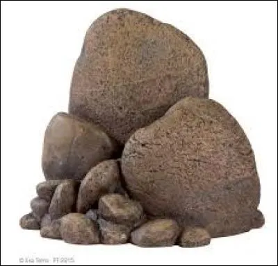 À quel titre du groupe cette image correspond-elle ?