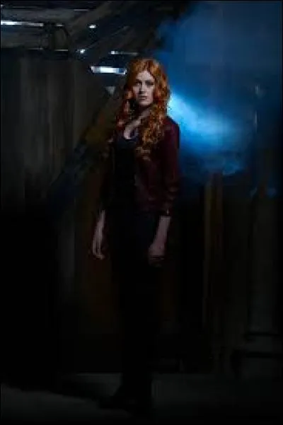 Que veut dire "shadowhunter" en francais ?