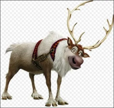 Comment s'appelle le renne de Kristoff ?