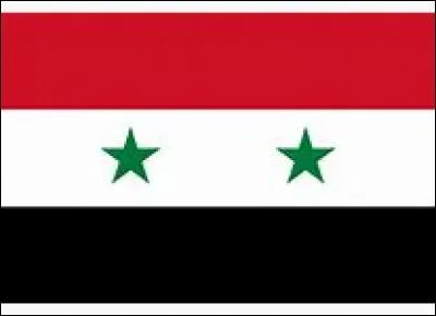 Combien de reporters ont été tués en Syrie en 2015 ?