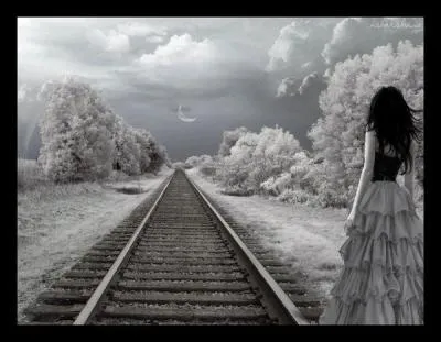 Quel chanteur interprétait les paroles "Nous ne serions pas sur le point de nous quitter..."