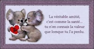 Ginny, Lodo, Garry, Deathly, Dark, Zoé, Fleur, Mia, Adi, Sakura, Joker, Luis et Benoît. Que de ... pour tant de beauté intérieure.