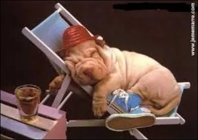 Cet après-midi, je ... eu qu'une heure de cours, tranquille.