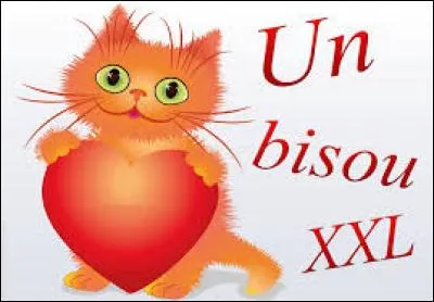 Enfin, bref. Je voulais dire à mes p'tits abonnés que je les ... car vous êtes géniaux.