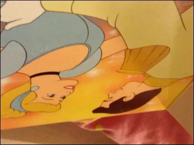 Tiana est partie avec :