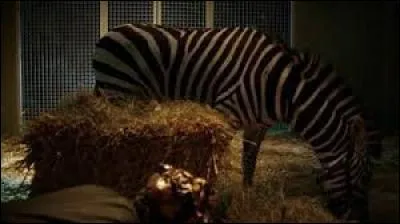 Quel est l'animal qui permettrait d'avoir un antidote et dans quel pays ?