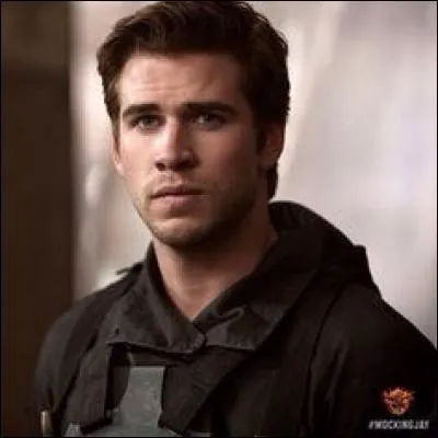 Qui est ce bel homme qui est dans "Hunger Games" ?