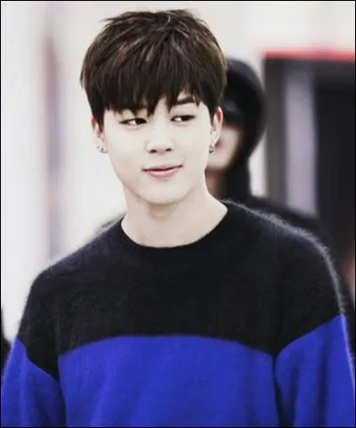 Quelles sont ses couleurs préférées ?