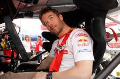 Le poisson-pilote existe-t-il ?