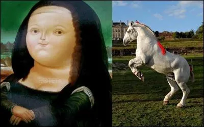 Quelle est la signification de cette phrase : 
Tiens, voila la « mistrouille » sur son cheval « Moellonier ».