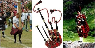 Je sais, le son de la musele est horrible à entendre. Mais, surtout ne chercher pas à museler celui qui en joue, tu risques de te prendre un arbre sur la « tronche » ! 
Mais, que peut bien être une « musele » ?