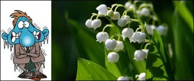 J'espère que nous n'aurons pas de « maïalisme », cela ne serait pas bon pour les récoltes.
Que signifie le mot « maïalisme » ?