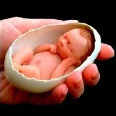 Mais pour survivre, les bébés doivent non seulement maîtriser la marche mais aussi la communication. Selon des recherches récentes, ils en savent plus que l'on pense. L'apprentissage du langage commence...