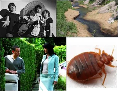 Le mot mystère est :