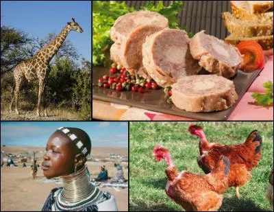 Le mot mystère est :