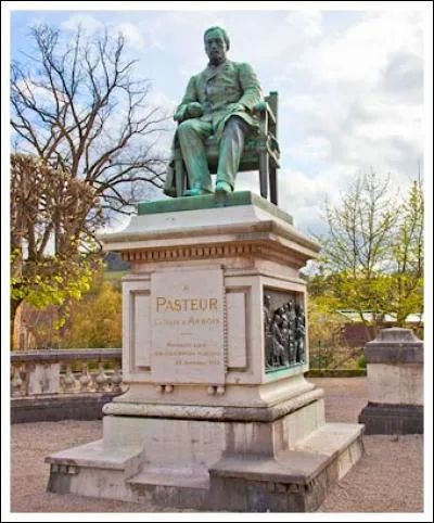 Où se trouve cette statue de Pasteur ?