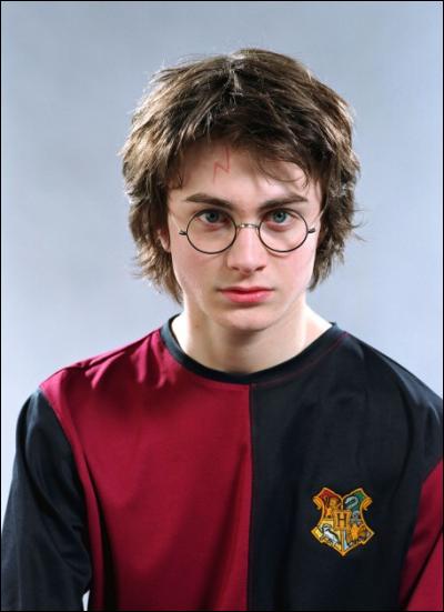 Quel est le nom de l'acteur qui a interprété Harry Potter ?