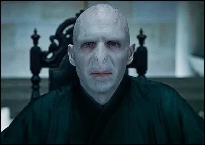 Quel est l'acteur qui interprète Lord Voldemort dans la saga ?