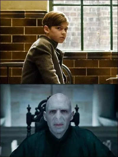Dans la vraie vie, les acteurs qui interprètent Lord Voldemort et Tom Jedusor ont un véritable lien de parenté. Lequel ?
