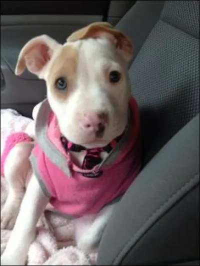 Quel &acirc;ge a-t-il environ ?