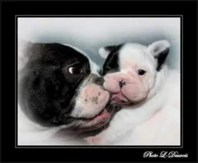 Qui est &agrave; gauche sur la photo ?