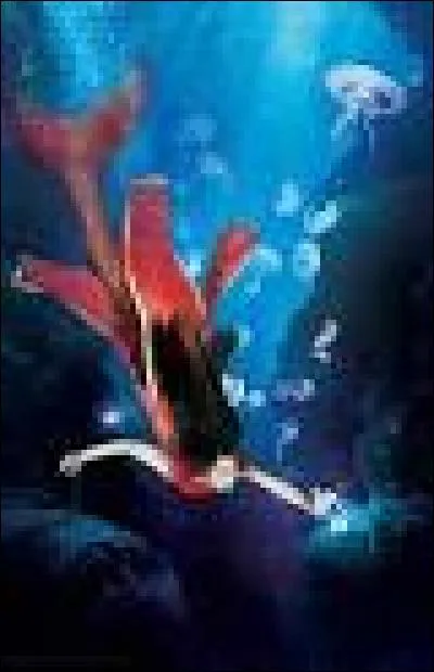 Comment s'appelle le prince qui doit épouser la "principessa" (princesse) de Miromara ?