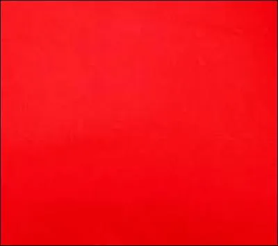 De quelle couleur l'illustration de la cinquième question est-elle ?