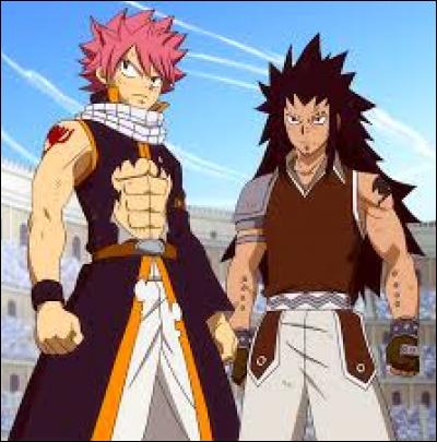 C'est un duo qui est dans la même guilde, quel est ce duo et dans quel manga évolue-t-il ?
