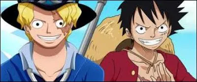 Ils forment un duo, ils sont copains depuis petits. Quel est ce duo et dans quel manga sont-ils ?