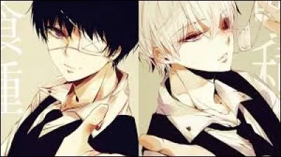 De quelle couleur sont les cheveux de Ken Kaneki à la fin de la saison 1 et tout au long de la saison 2 ?