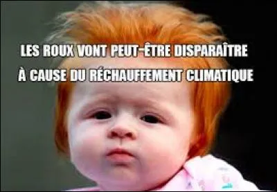Il ... roux, et alors ?