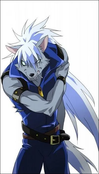 Qui est réellement Wolfrun ?