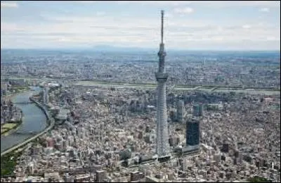 Il mesure 634 mètres. Quel est le 2ème plus grand monument au monde ?