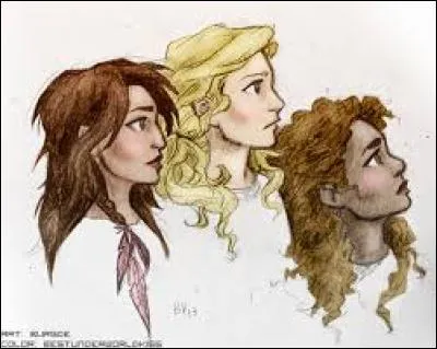 De qui sont amoureux Jason, Percy et Frank ?