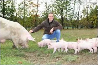 De quelle émission de télé-réalité cette photo vient-elle ?