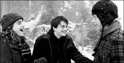 Comment les professeurs se sont-ils rendus compte qu'Harry se rendait clandestinement à Pré-au-lard ?