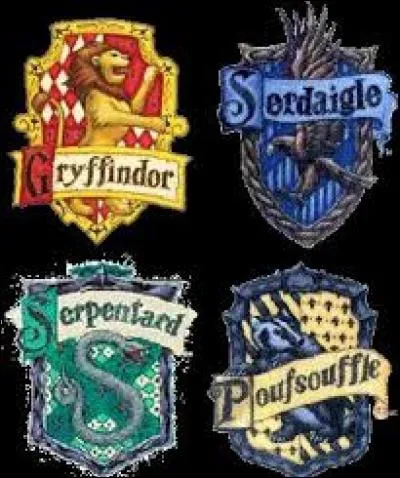 Quelle maison a gagné la coupe de Quidditch ?