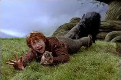 Qui est réellement le chien qui a attaqué Harry et emporté Ron dans la cabane Hurlante ?